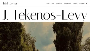 Tekenos-Levy Law - Kingston, ON Tekenos-Levy Law - Kingston, ON