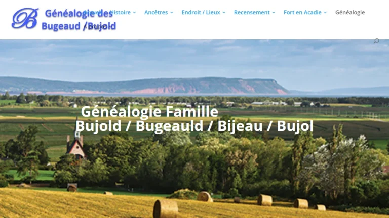 BUJOLD P.C. TAX LAW - Moncton, NB BUJOLD P.C. TAX LAW - Moncton, NB